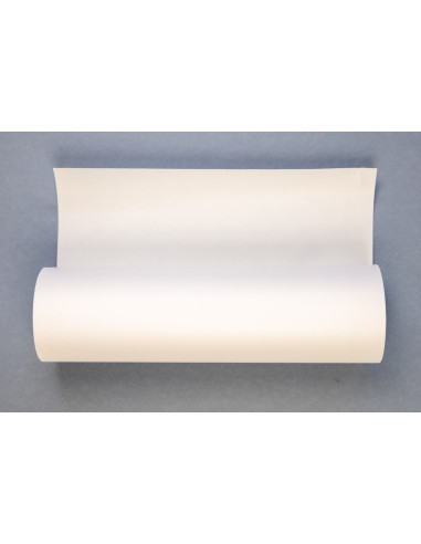 SISTEMA PAPEL ROLLO L45 (col. BLANCO & VERDE LIMA)