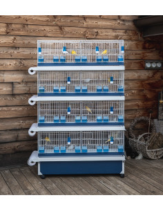 SET 1X4H ART.91 CON PAPER Y CARRO