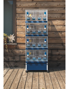 SET 1X4H ART.90 CON CAYONES Y CARRO